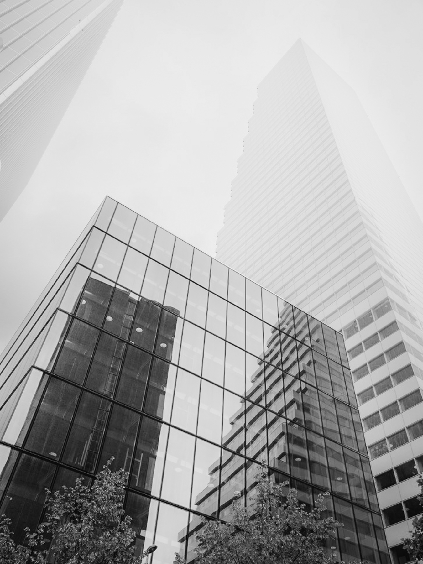 A6326021-4F2C-4913-962B-3AB6B0C53FE4_1_105_c