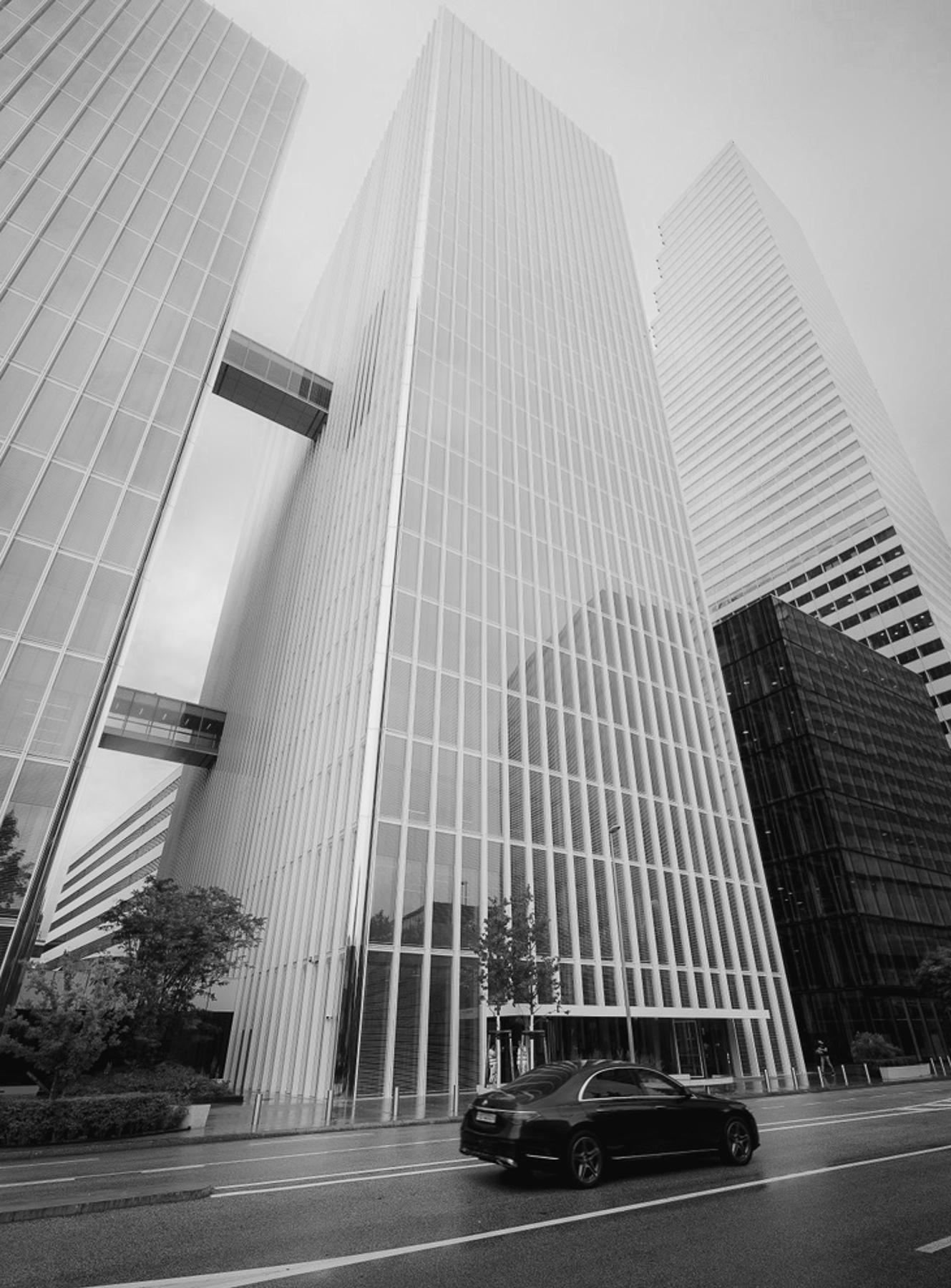 AFF8EC6B-5D64-459A-8CDC-98775AC8119B_1_105_c