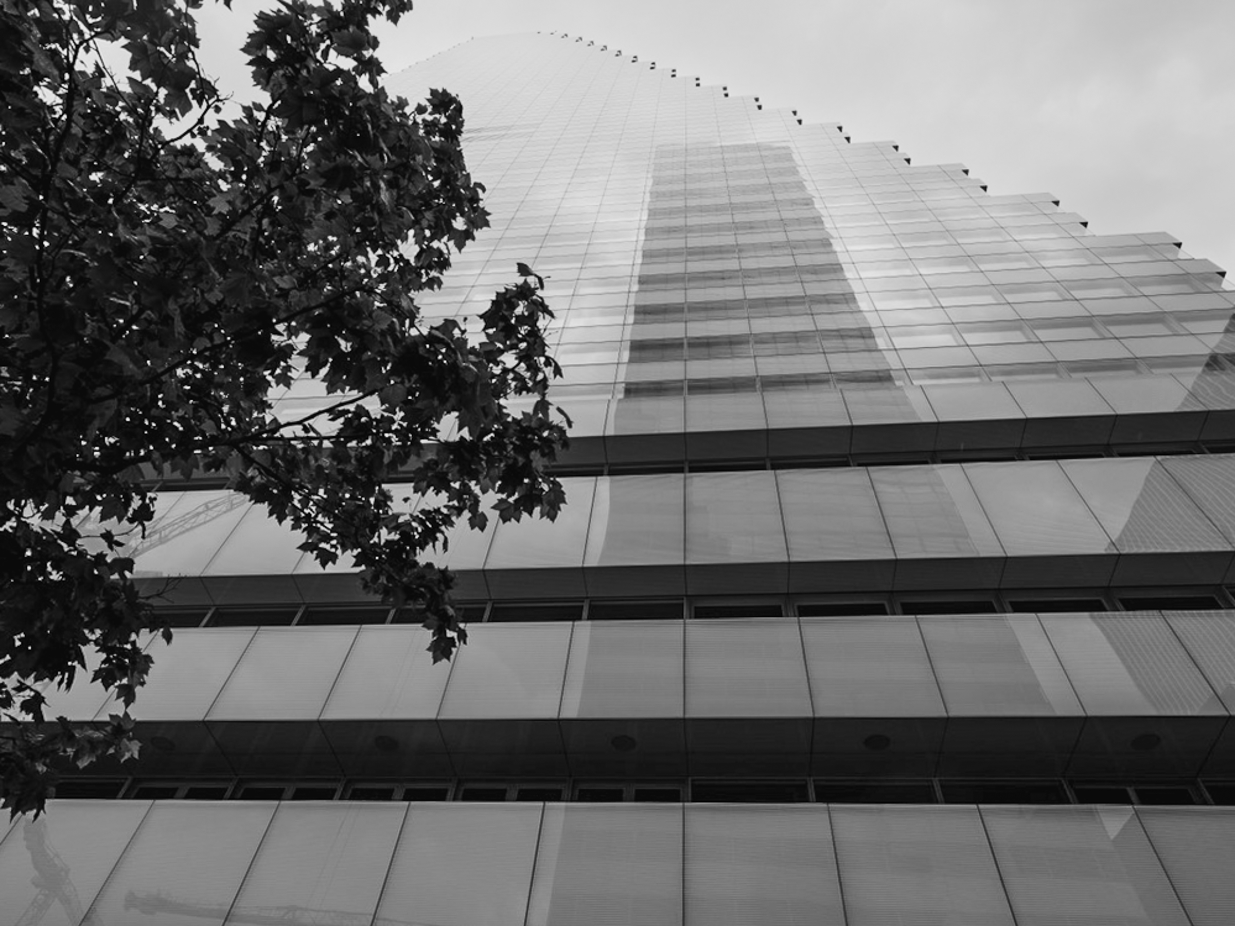 BCE83E69-CB0B-47A8-9A66-C9DBF59F8B52_1_105_c