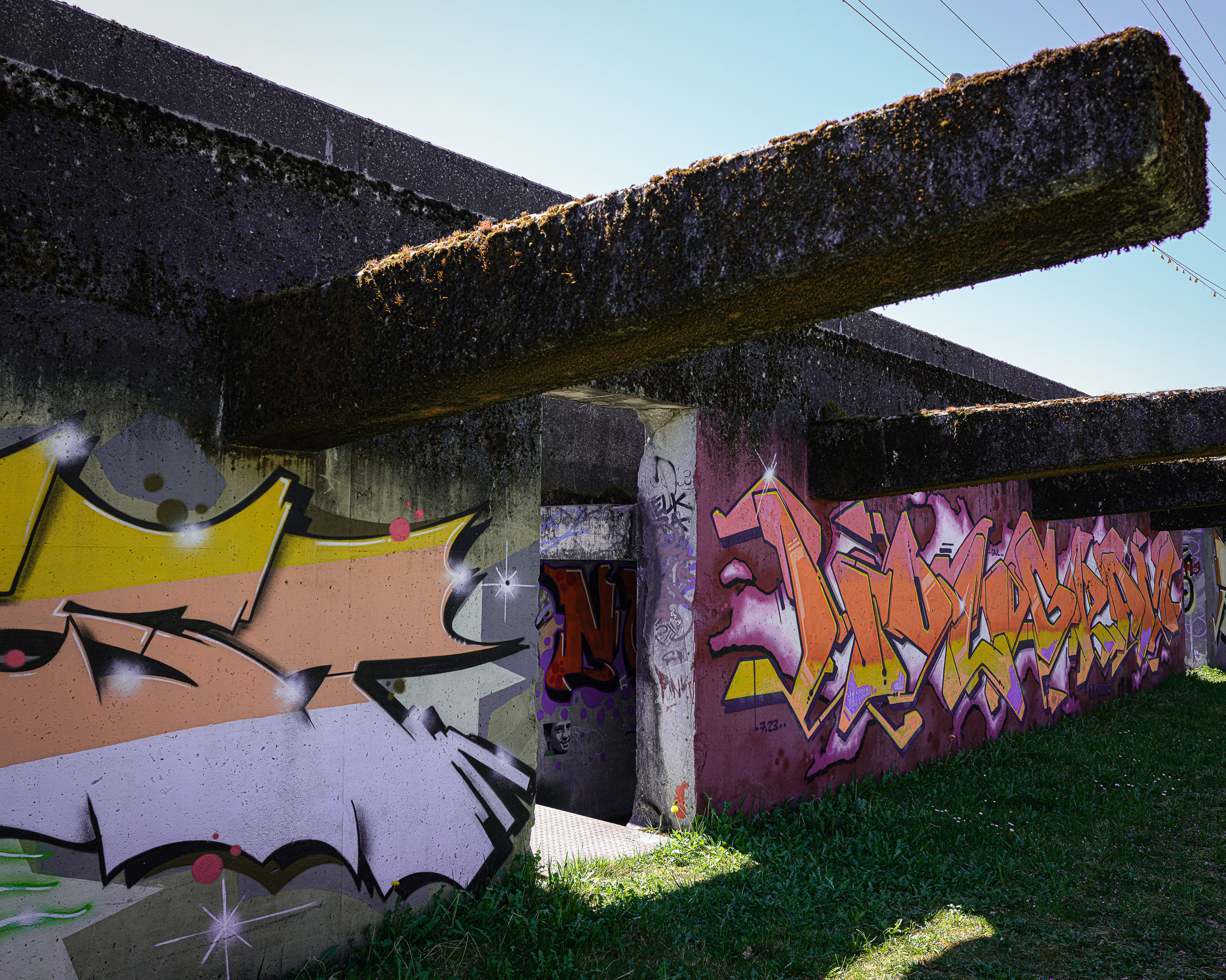 DSCF0990