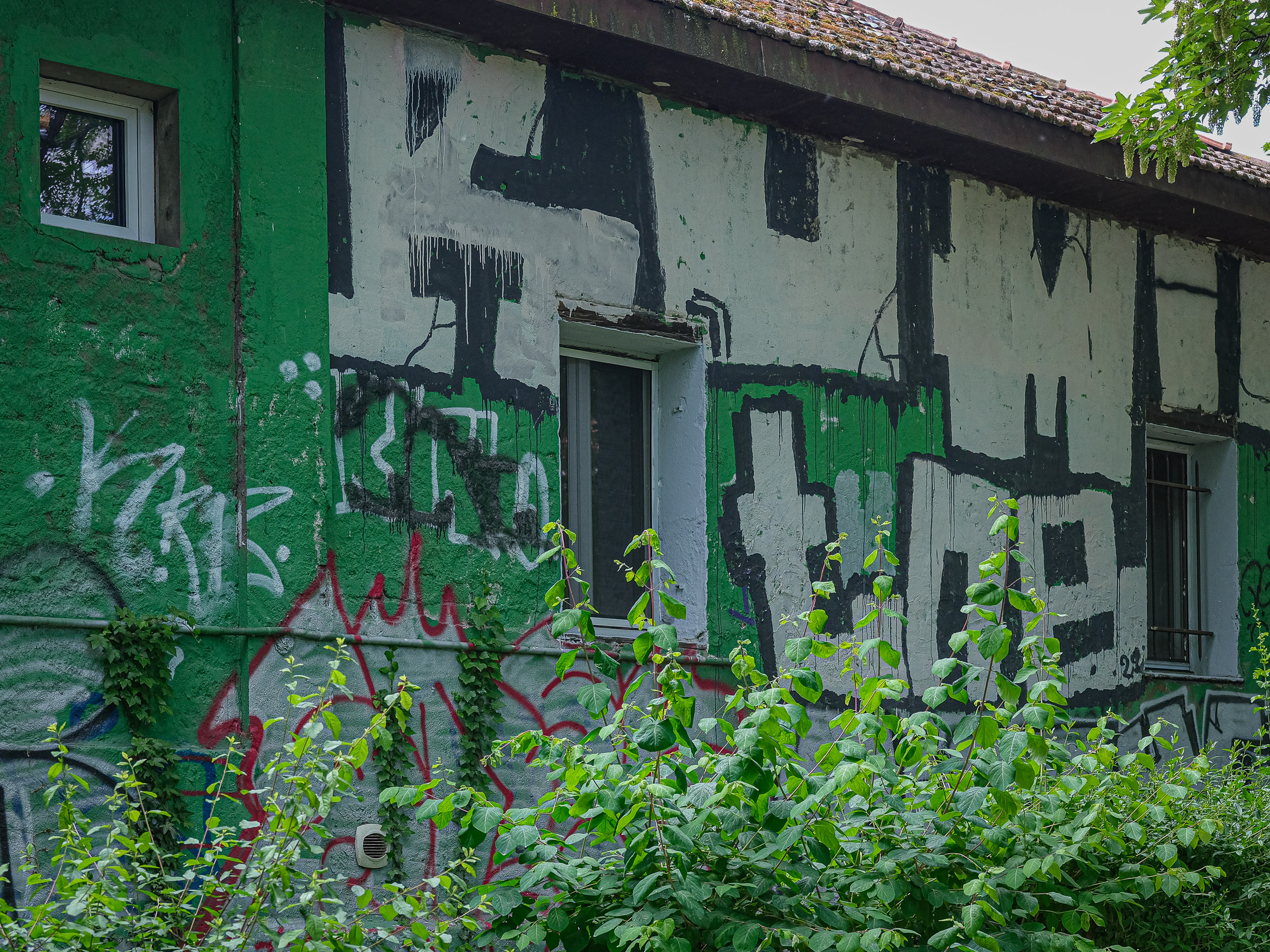 DSCF1414
