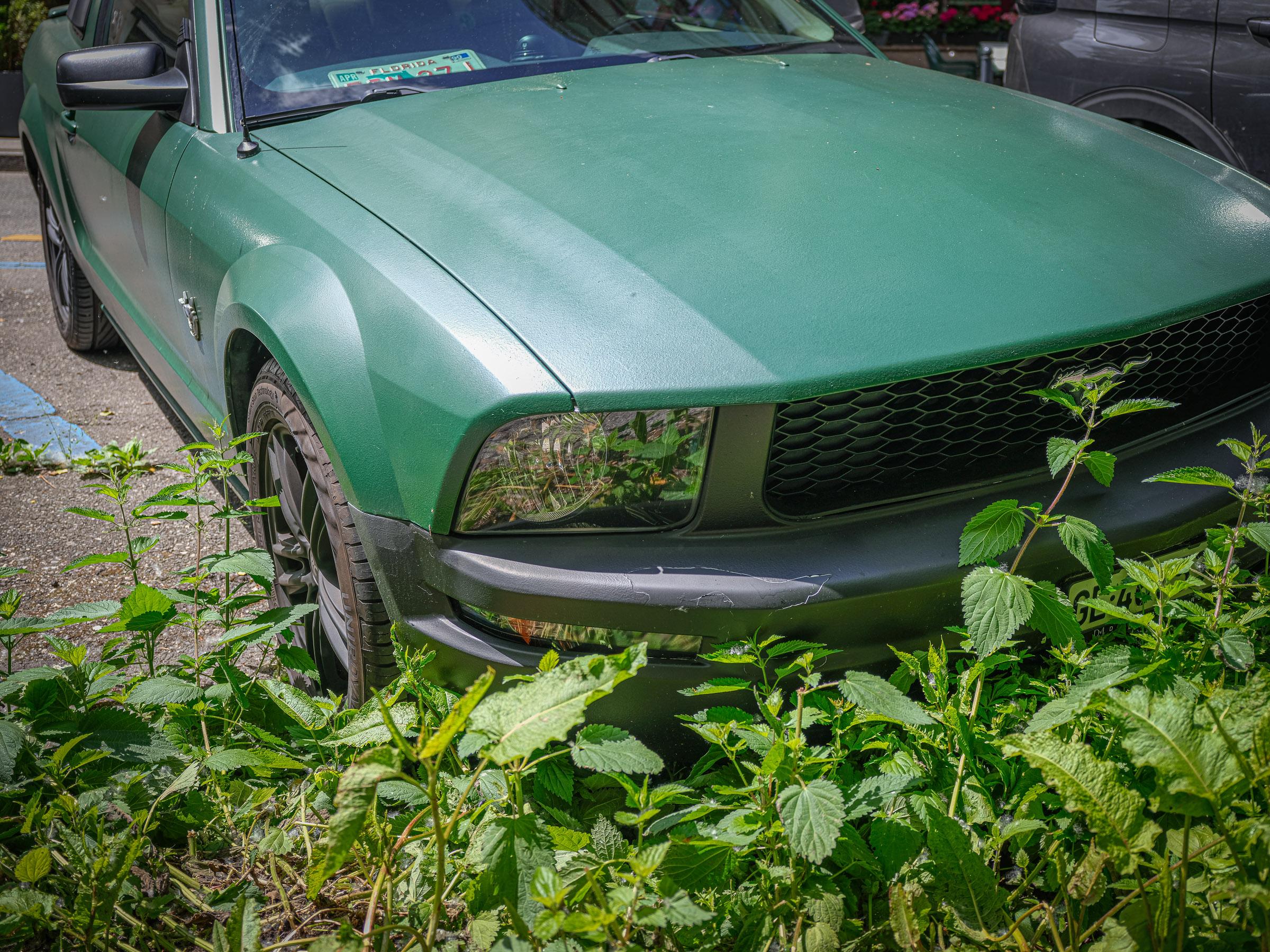 DSCF1445