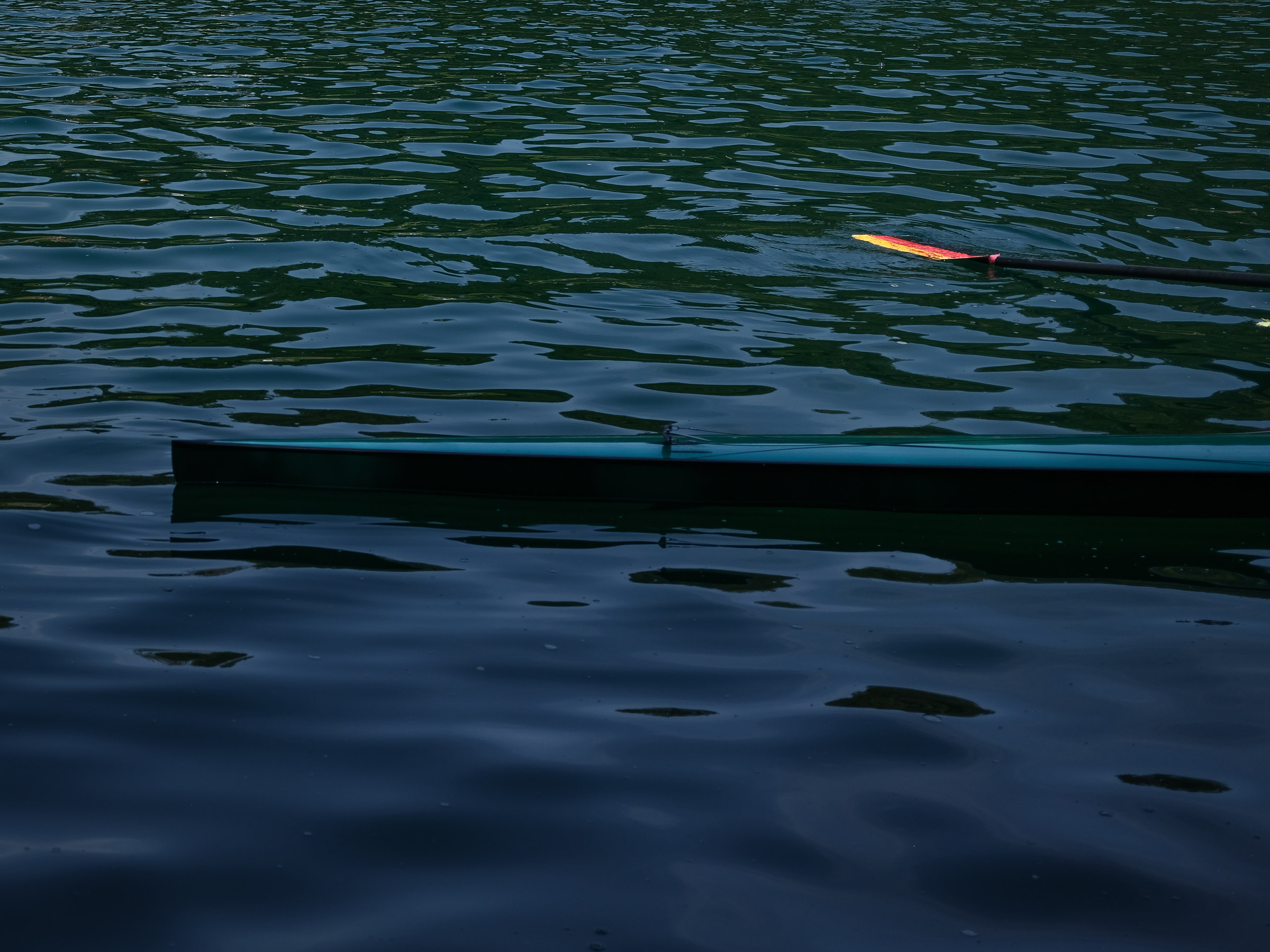 DSCF2597