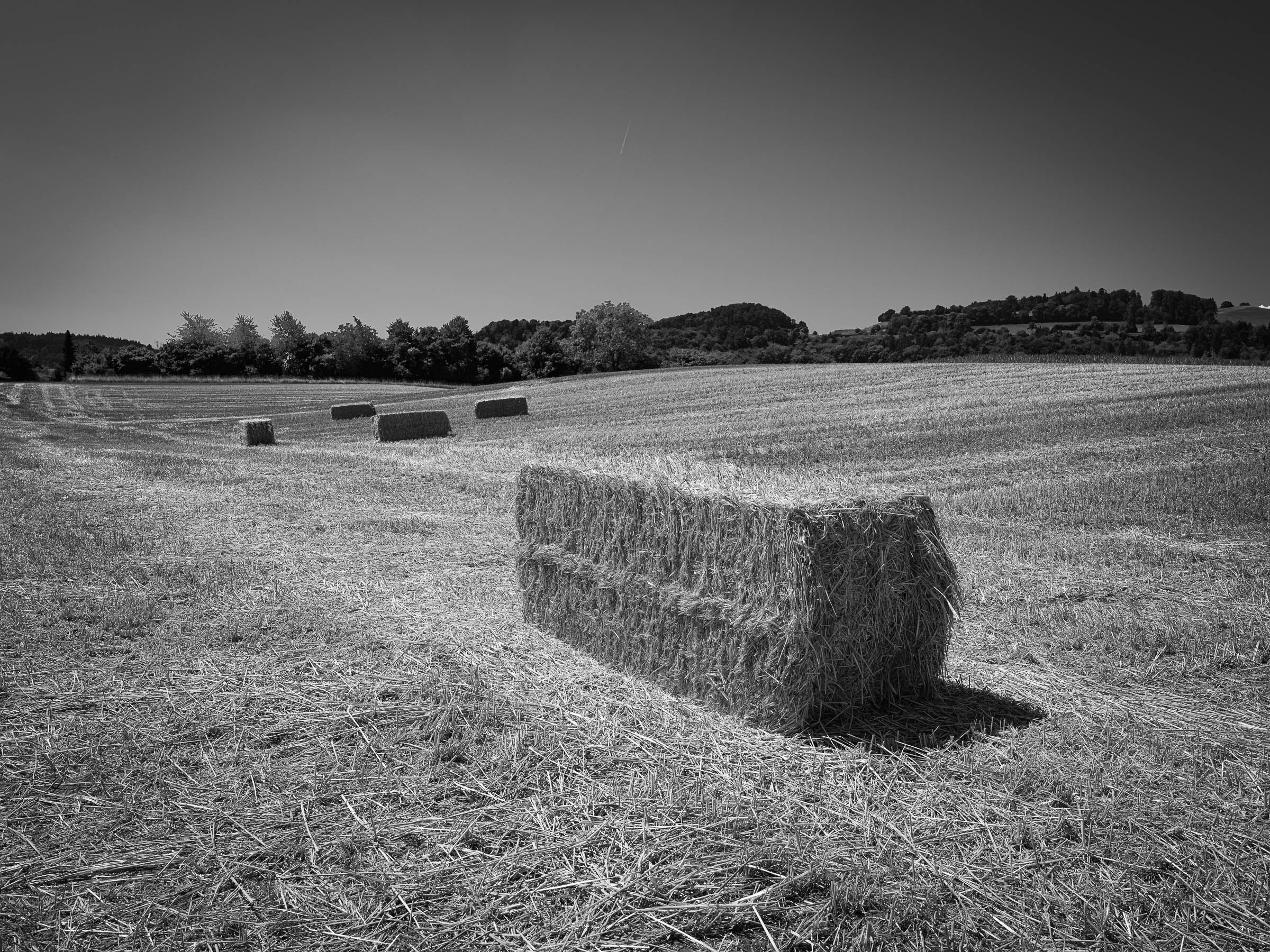 DSCF2717