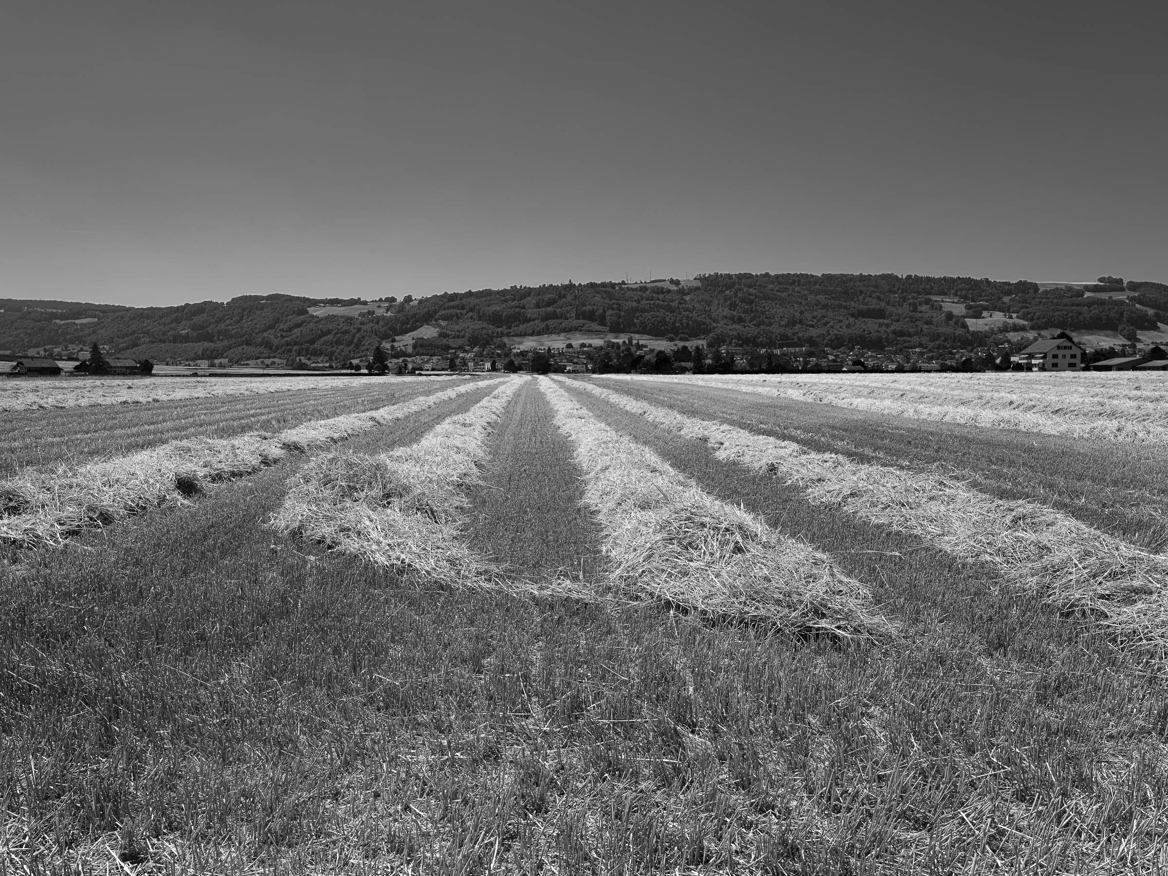 DSCF2738