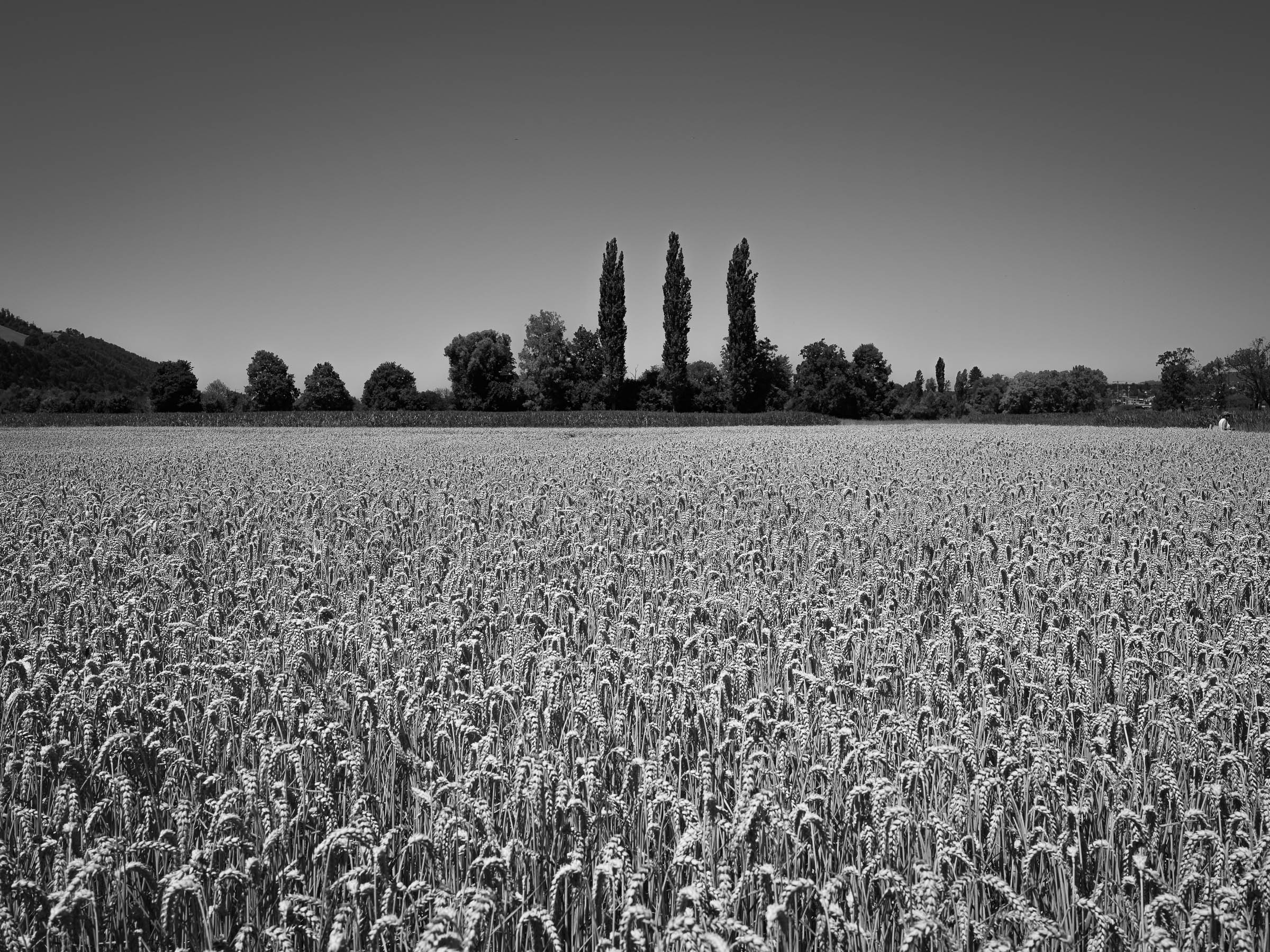DSCF2769