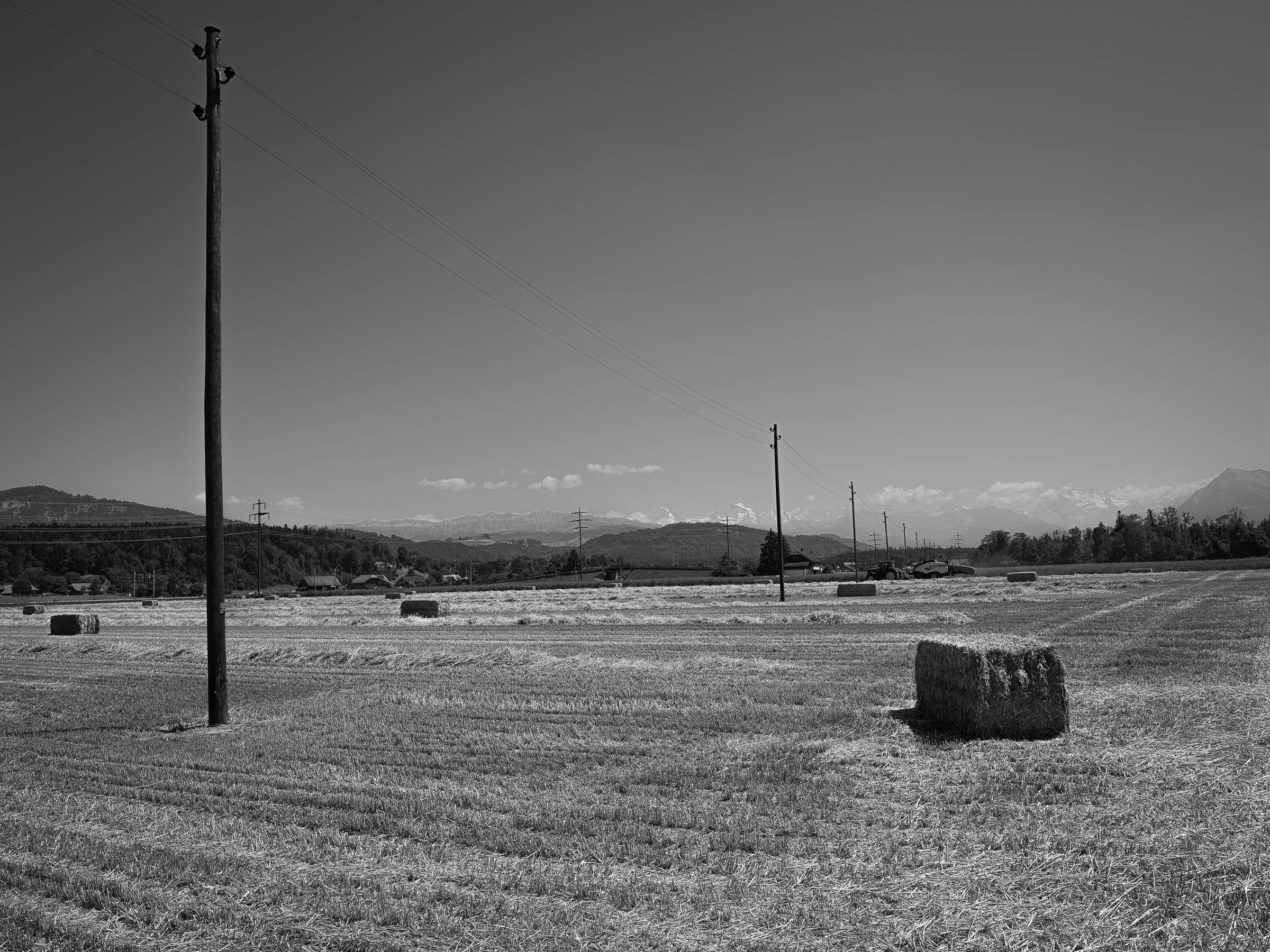 DSCF2799
